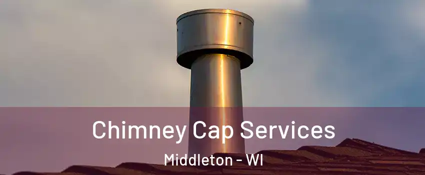  Chimney Cap Services Middleton - WI