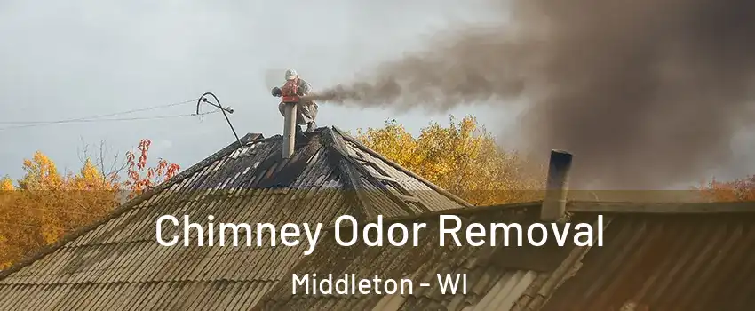  Chimney Odor Removal Middleton - WI